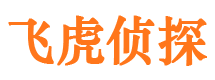 静海市婚外情调查